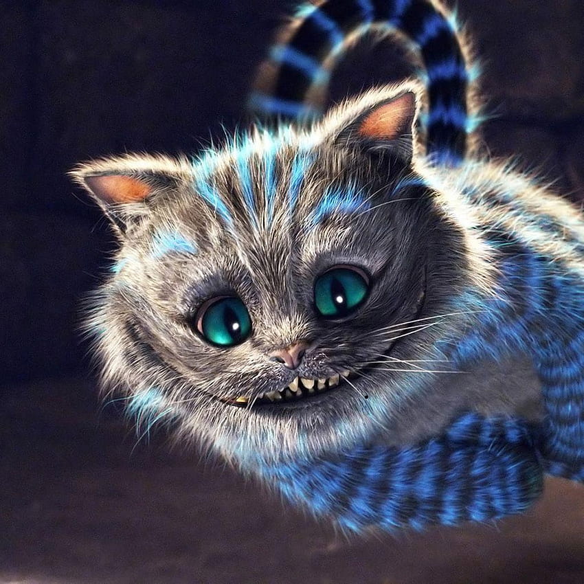 Cheshire Cat Bright iPad 1024×1024 – Digital Citizen, poetry cat HD ...