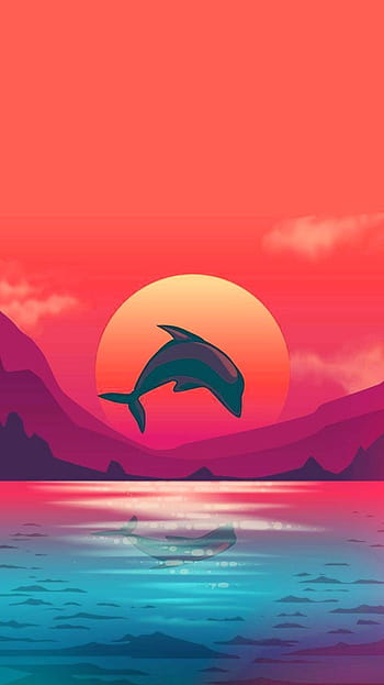 Sunset and dolphin   Dolphins  Animals Background Wallpapers on  Desktop Nexus Image 1389500