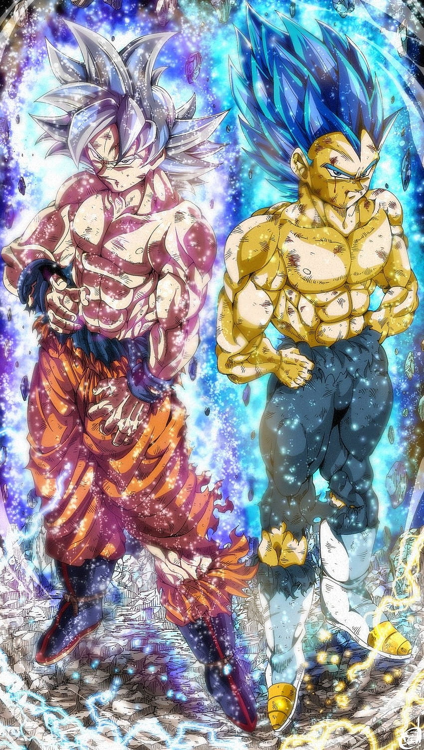 Goku MUI y Vegeta SSBE, mui vegeta HD phone wallpaper