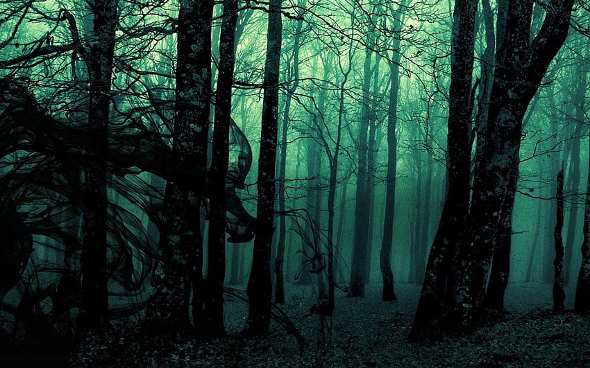 forest, Landscape, Dark, Nature, Trees, Manipulation, Gloomy, dark forest mobile HD wallpaper