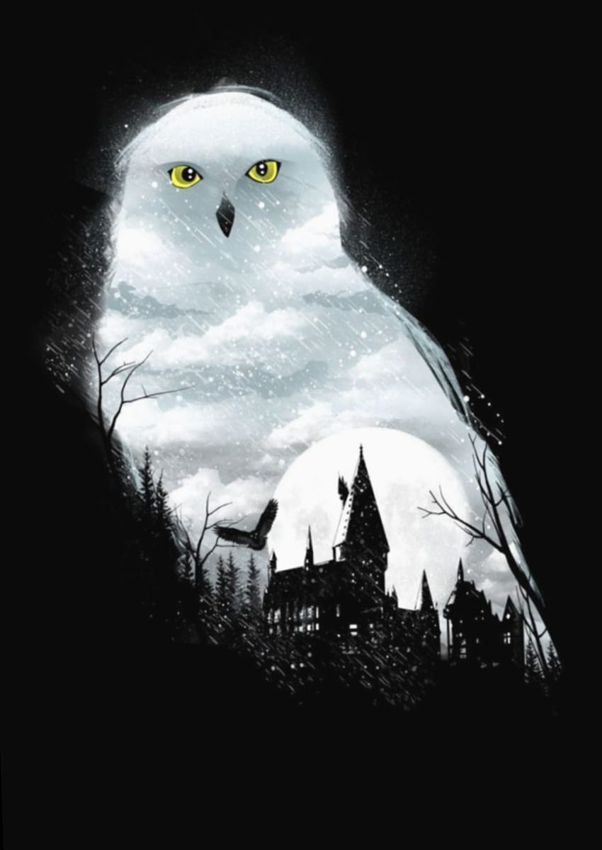 Harry Potter Hedwig, burung hantu harry potter wallpaper ponsel HD