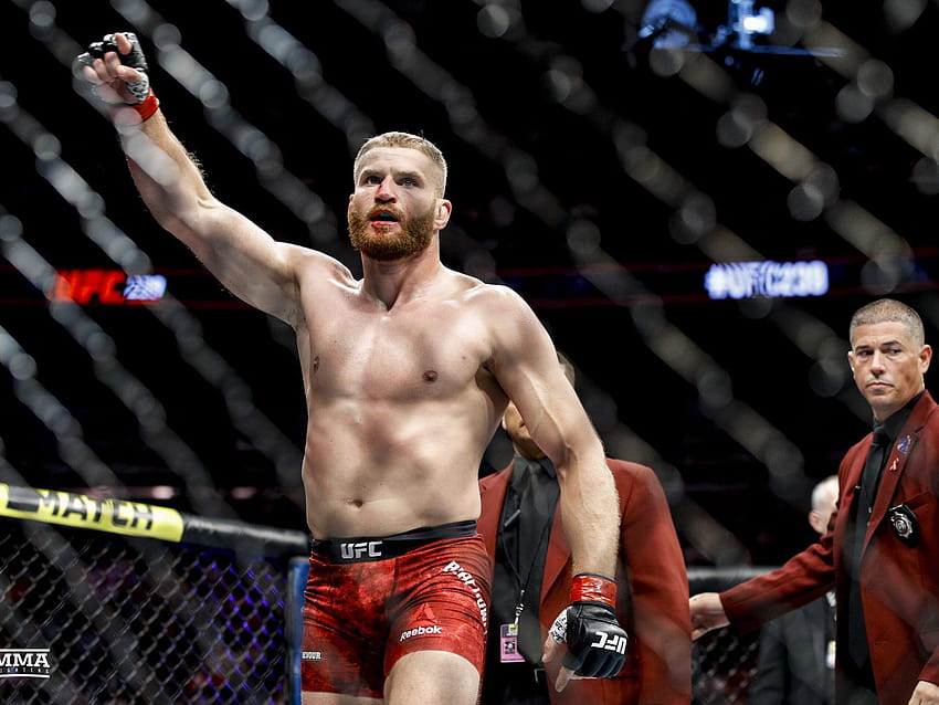Jan Blachowicz wants to avenge his loss to Corey Anderson and then 'be the first guy to beat Jon Jones' HD wallpaper