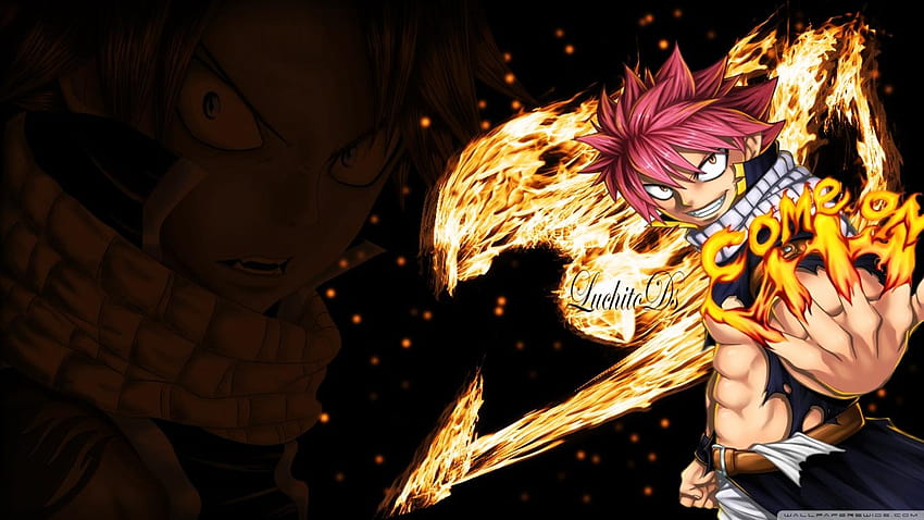 Anime Fairy Tail, HD Anime, 4k Wallpapers, Images, Backgrounds, Photos and  Pictures
