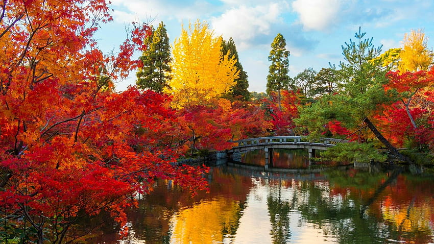 Bridge Colorful Colors Fall Foliage Forest Lake Pond Tree, bridge in ...