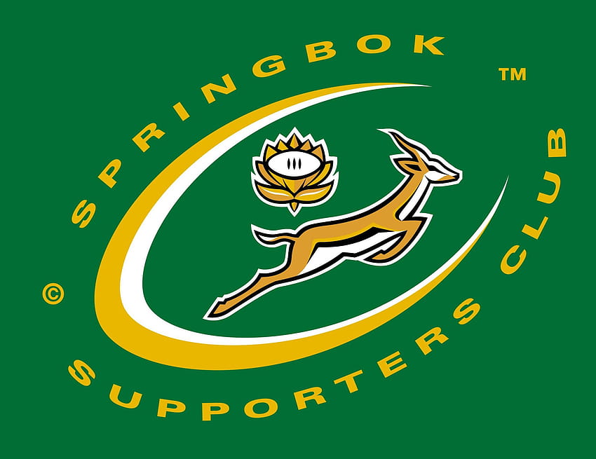 rugby springbok, logo rugby, union de rugby, rugby afrique du sud Fond d'écran HD