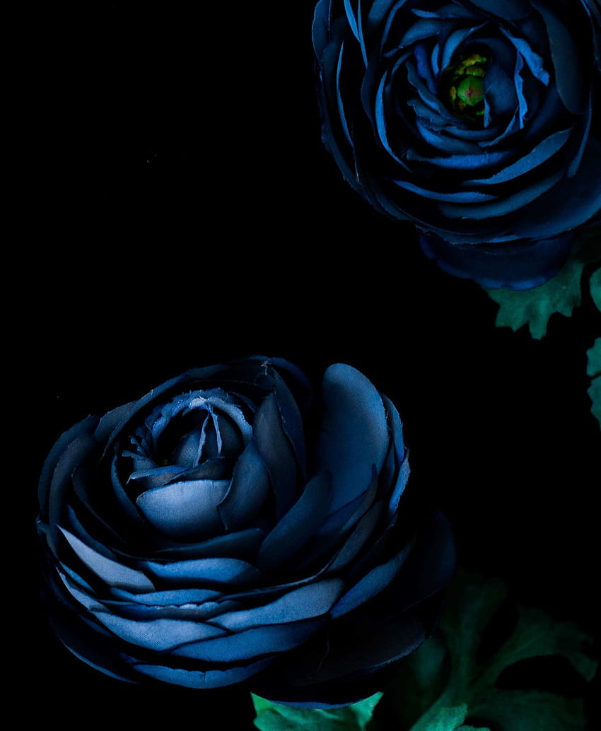 Best Bunga Mawar Untuk Android Kezanari, hitam biru android Sfondo del telefono HD