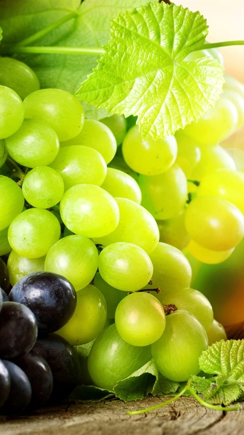 Grapes 6 HD wallpapers | Pxfuel