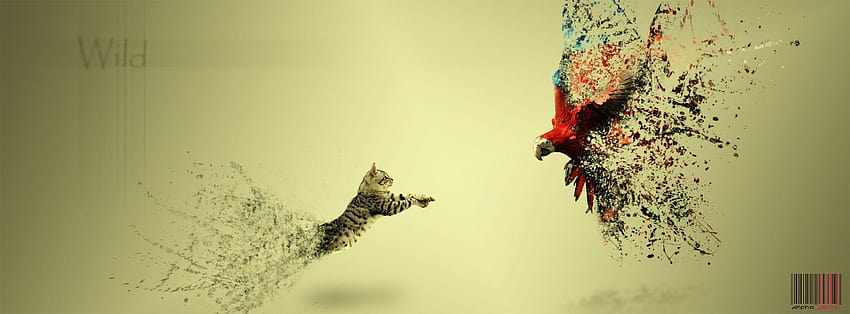 5 Amazing Funny Facebook Covers, for fb cover page HD wallpaper