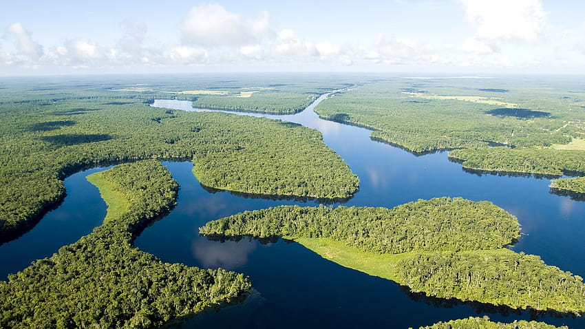 Amazon River Jungle Bright Blue Green Aerial View, pemandangan sungai dari udara Wallpaper HD