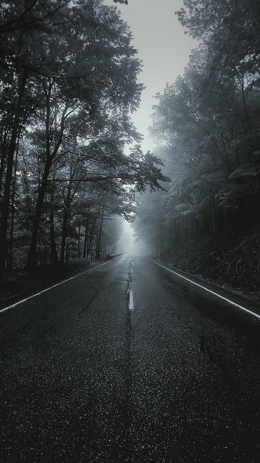 asphalt road, portrait display, vertical, landscape, tree, mobile road HD phone wallpaper