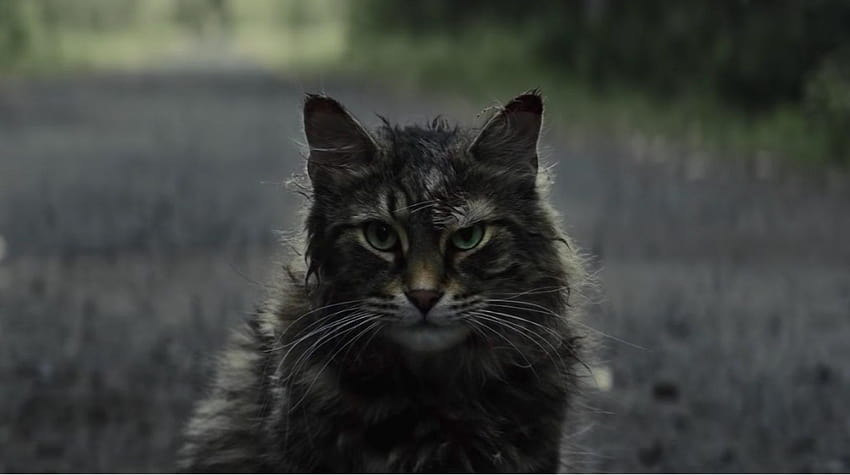 Pet Sematary HD wallpaper Pet Sematary HD wallpaper
