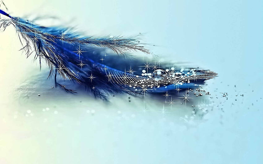 Feather new HD wallpapers