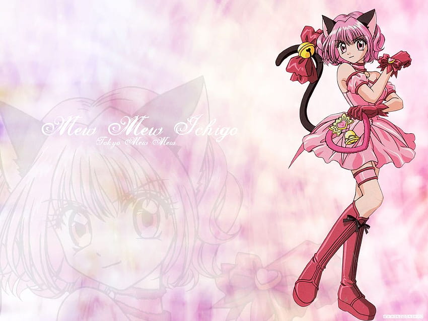 4 Cute Anime Cat, beautiful anime girl drawing HD wallpaper | Pxfuel