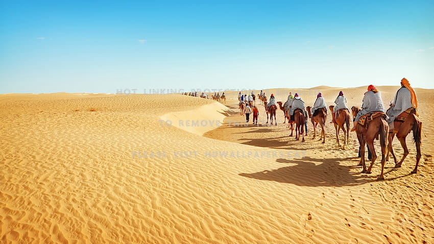 into the desert caravan sahara walk mideast HD wallpaper