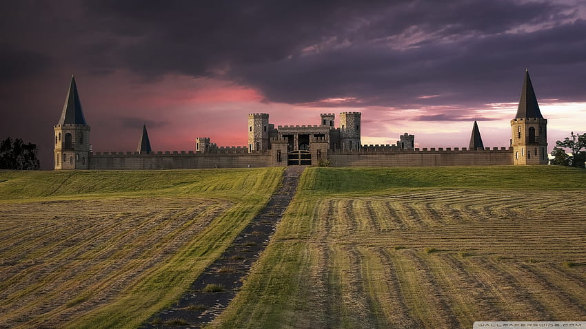 Medieval Castle Ultra Backgrounds for U TV : & UltraWide & Laptop : Tablet : Smartphone, gothic castle HD wallpaper