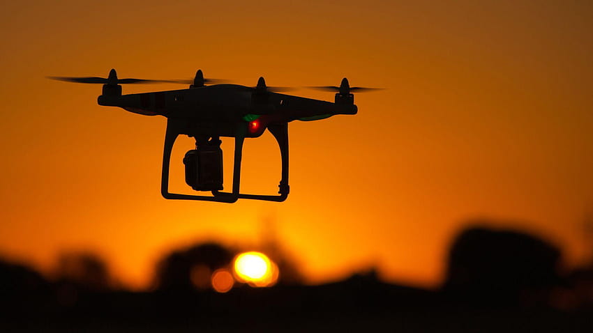 10 niesamowitych nagrań przyrodniczych wykonanych przez drony Tapeta HD