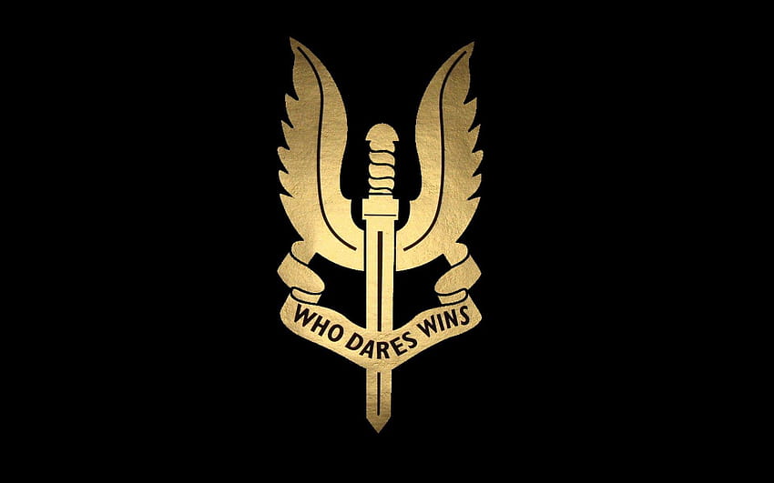 Logotipo do Serviço Aéreo Especial, logotipo das forças especiais papel de parede HD