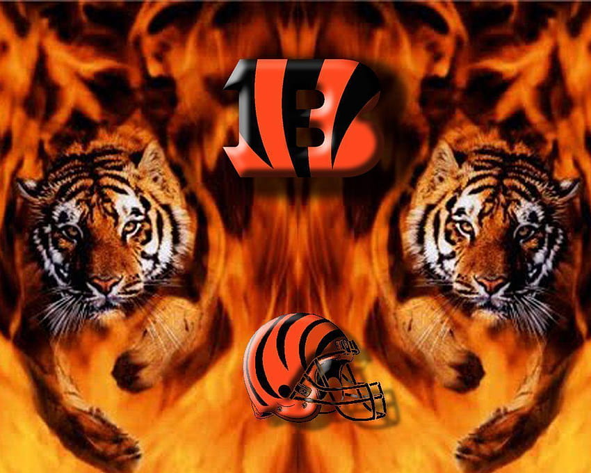 Cincinnati Bengals Two Tigers Nfl 1280x1024PX ~ Bengals Sfondo HD
