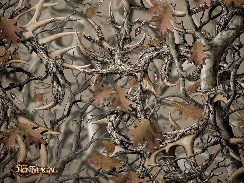 Realtree Camo Wallpapers  Top Free Realtree Camo Backgrounds   WallpaperAccess
