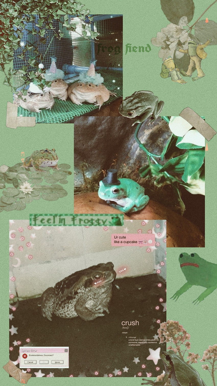 Cute Frog froggy aesthetic HD phone wallpaper  Pxfuel