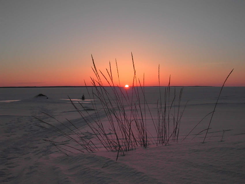 Sunset On Arctic Tundra HD wallpaper