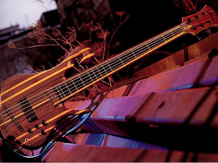 Carl Thompson bass, 5 string bass guitar HD wallpaper