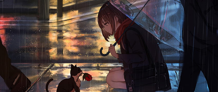 Anime Girl Raining Cat, anime pc cat HD wallpaper
