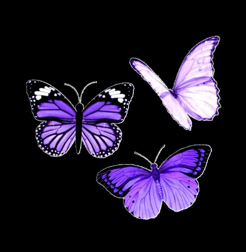 Tumblr graficzne Motyle, iphone fioletowy motyl Tapeta na telefon HD