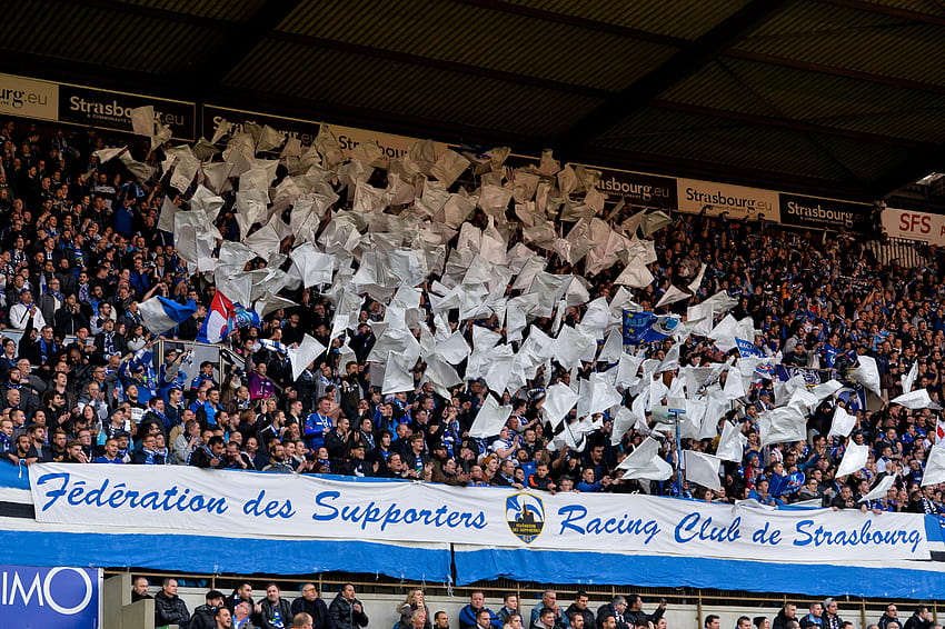 Supporters du Racing Club de Strasbourg Alsace HD wallpaper