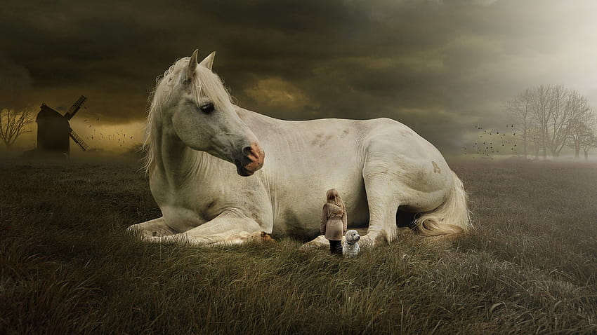 White horse, Cute girl, Cute dog, Landscape, Dream, Animals, cute horses HD wallpaper