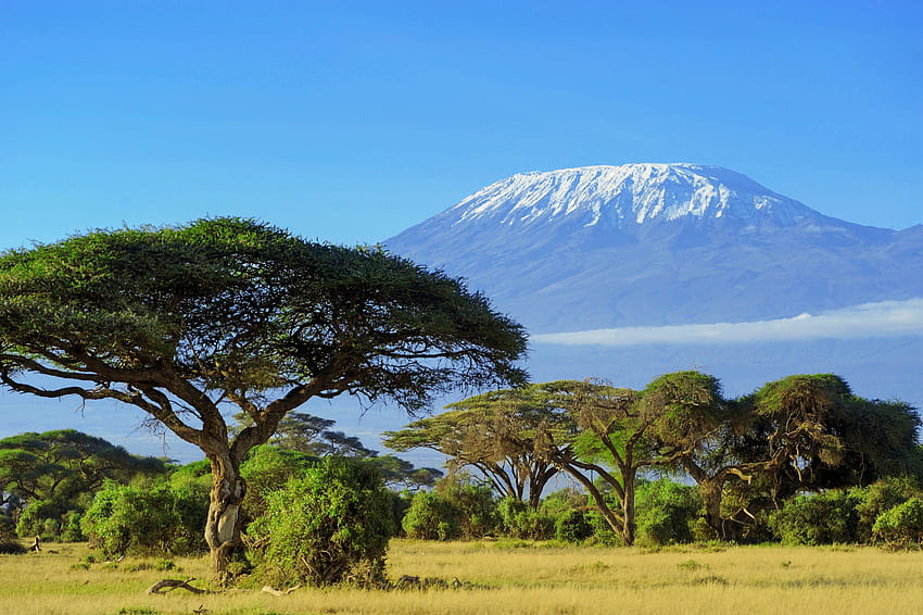 Широк екран, Килиманджаро HD тапет