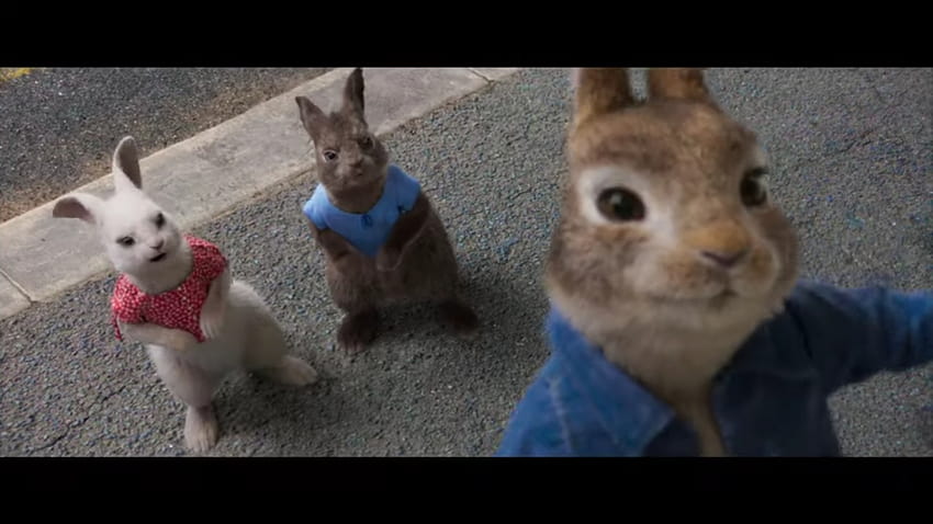 James Corden Returns In 'Peter Rabbit 2: The Runaway' Teaser HD wallpaper