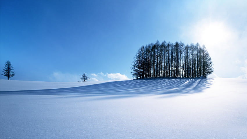 Bayangan Musim Dingin 1920x1080, pemandangan musim dingin 1920x1080 Wallpaper HD