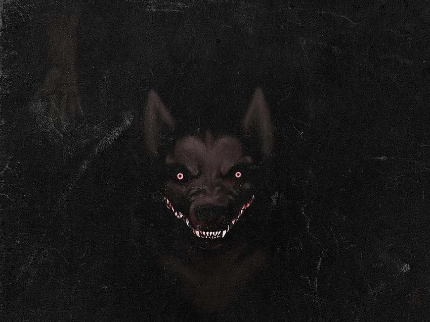 Smile dog, creepypasta dog scary HD wallpaper