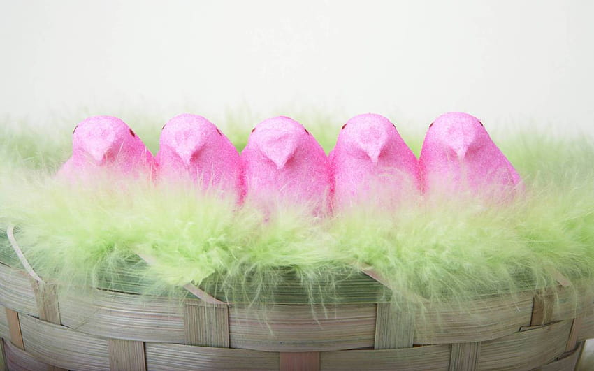 The Smith Family Update Easter, peeps HD wallpaper