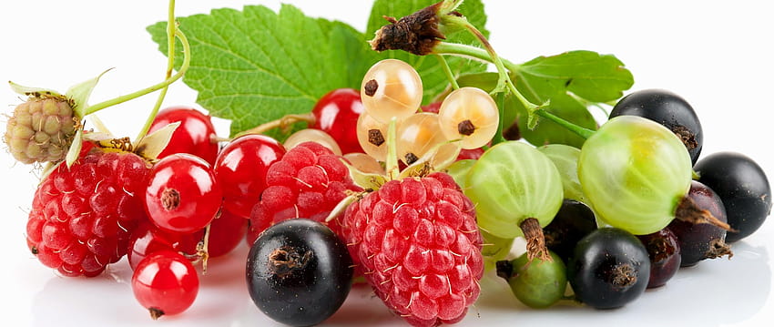 2560x1080 currants, gooseberries, berries HD wallpaper
