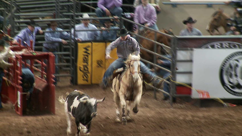 Cowboys upset with PRCA rule change for calf roping HD wallpaper