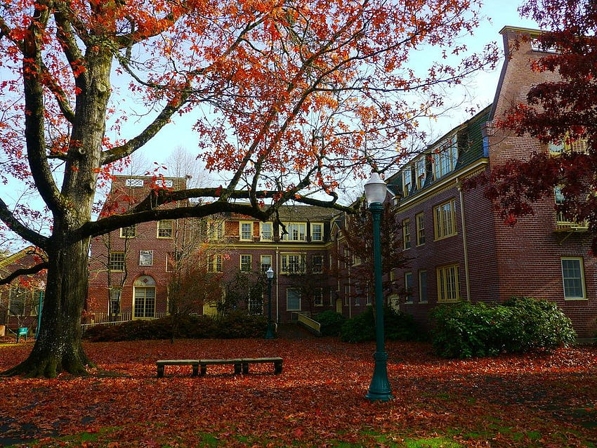 Autumn comes to Hendricks Hall on the University of Oregon Flickr [1024x768] for your , Mobile & Tablet, autumn oregon HD wallpaper