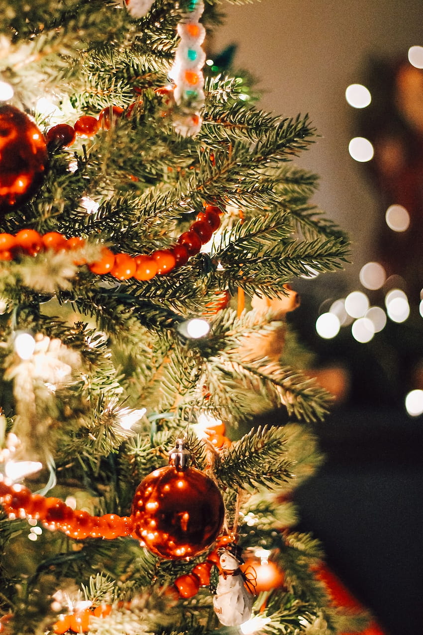 enfeites de laranja e brancos na árvore de natal verde – árvore de natal, luzes da árvore de natal branco Papel de parede de celular HD