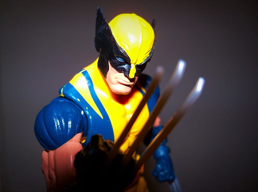: toys, Wolverine, yellow, superhero, claws, legend, Mutant, legends, adamantium, Logan, costume, figures, marvel, marvellegends, acba, action figure, superheroes, xmen, hasbro 1598x1190 HD wallpaper