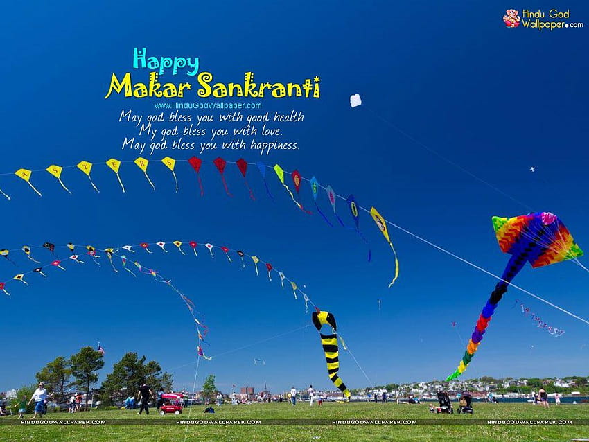 Makar Sankranti Festival HD wallpaper