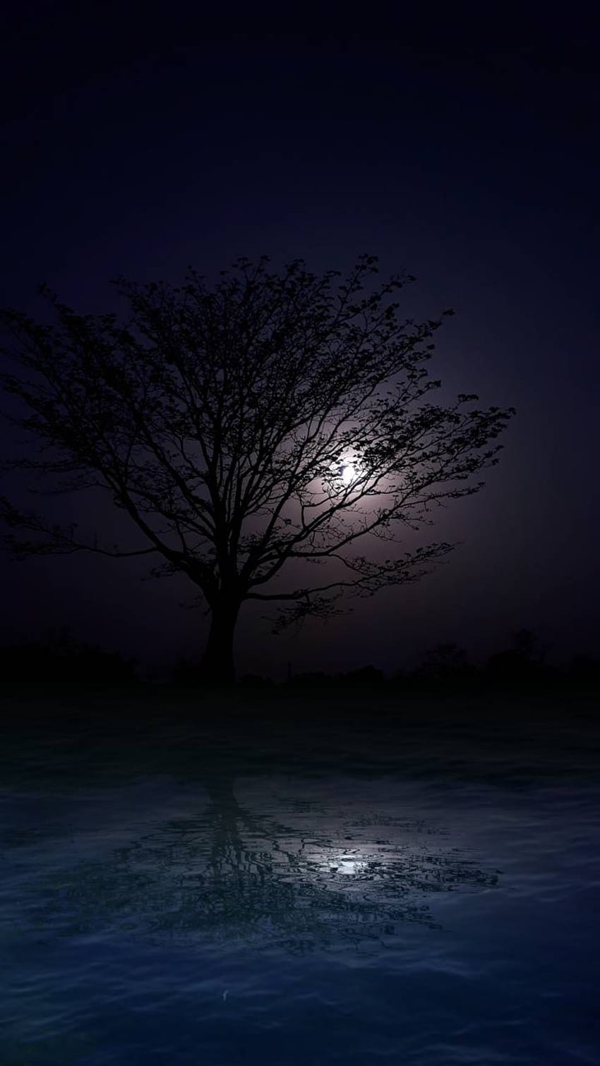 Good night tree sad by enamored_soul_sp, night sad HD phone ...