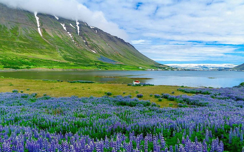 Icelandic towns complain to Google over maps that depict an, isafjordur HD wallpaper