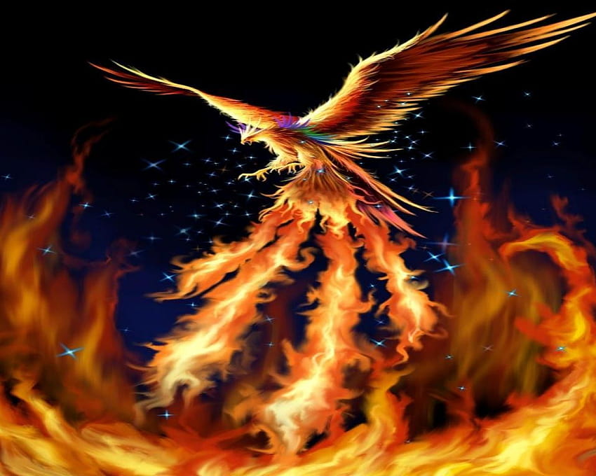 Los 5 mejores Rise of the Phoenix on Hip fondo de pantalla