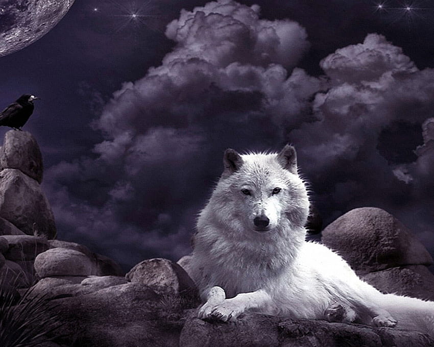 Wolf , Night Sky, Crow, Moon, Fantasy Art, White Wolf, Mystic • For You, fantasy wolves HD wallpaper