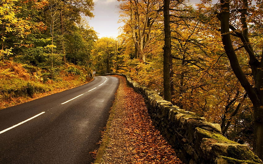 4 Autumn for Mac, macbook autumn HD wallpaper | Pxfuel