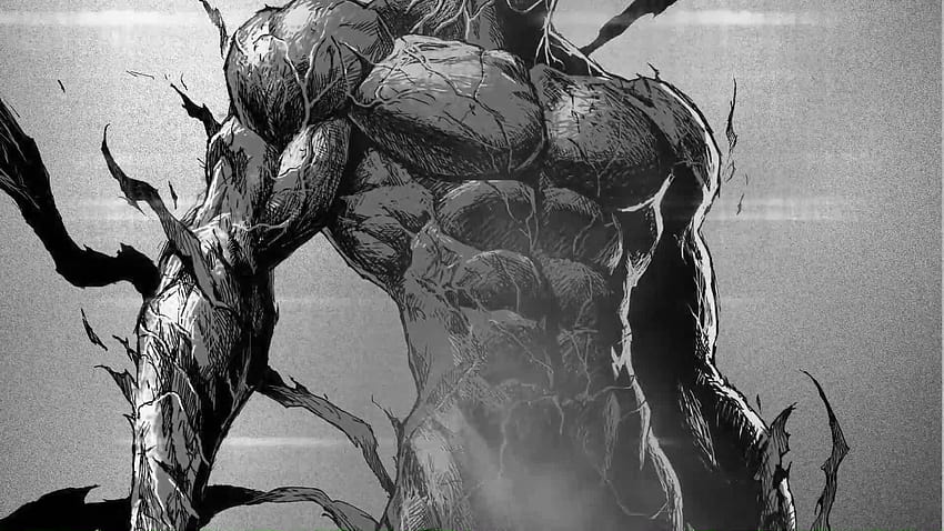 Garou Villain Monster / Hero Hunter / One Punch Man HD wallpaper