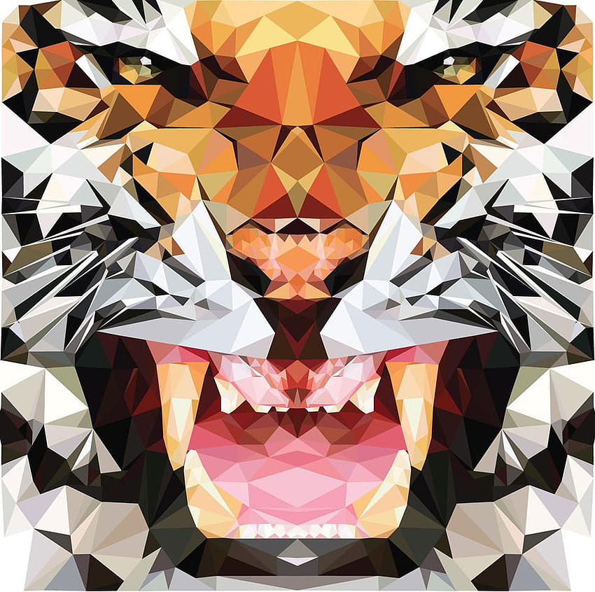 Geometric Lion, geometric animals HD wallpaper | Pxfuel