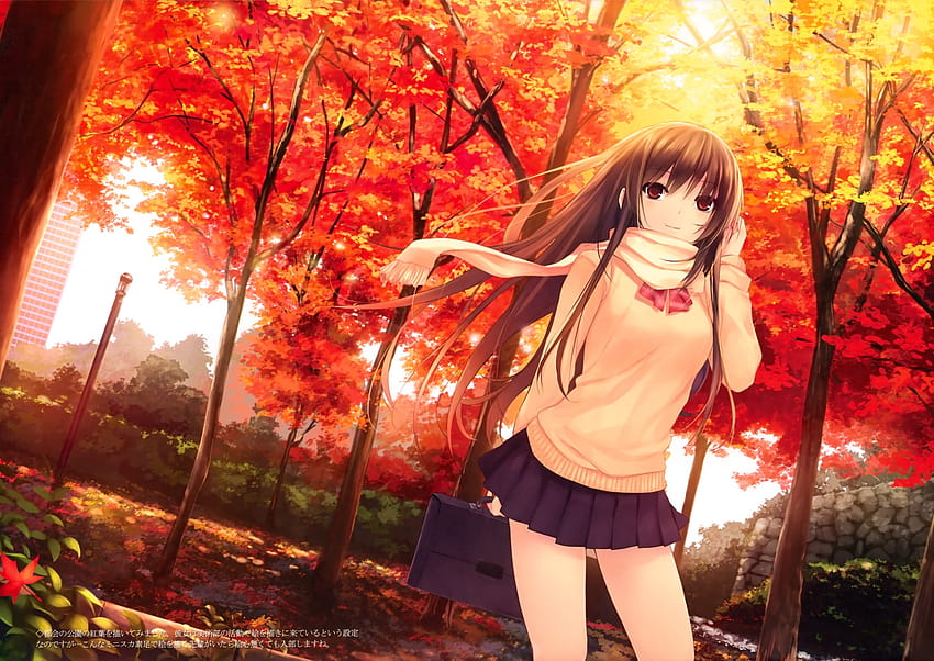 autumn leaves school uniforms long hair brown eyes seifuku scarfs coffeekizoku anime girls –, autumn school HD wallpaper