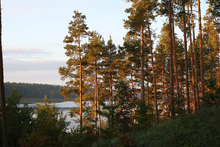 Lithuania Nature Lake HD wallpaper